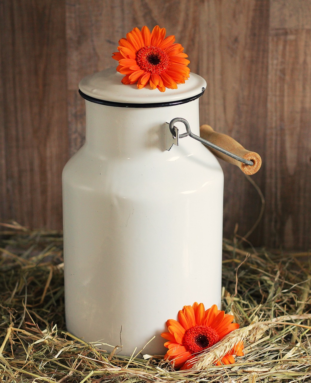 milk can, gerbera, flower-1990088.jpg